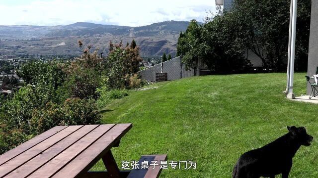 爱彼迎Kamloops山顶小屋,房东手工打造家具,美丽妻子热情分