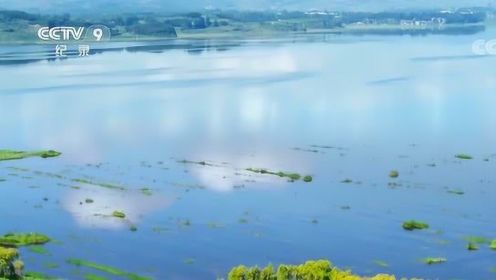 威宁草海：湖泊和蓝天白云相接，黑颈鹤贴水面飞行，书中的美景也不过如此了！