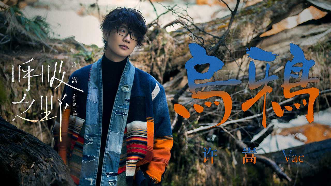 许嵩《乌鸦》官方mv