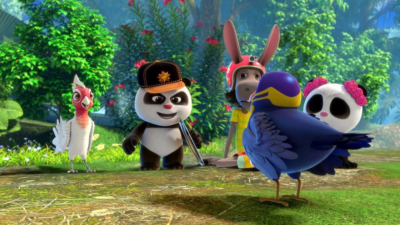 动物合唱团 腾讯网