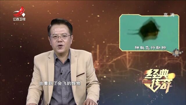 山海怪谈录ⷨ磥€œ禁地怪声”精彩片段