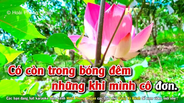 Thuyền Xa Bến 䐡𛗠 Tone Nữ