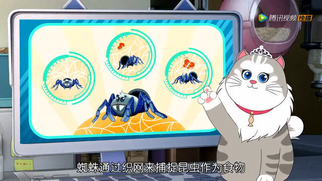 宠物旅店 5集