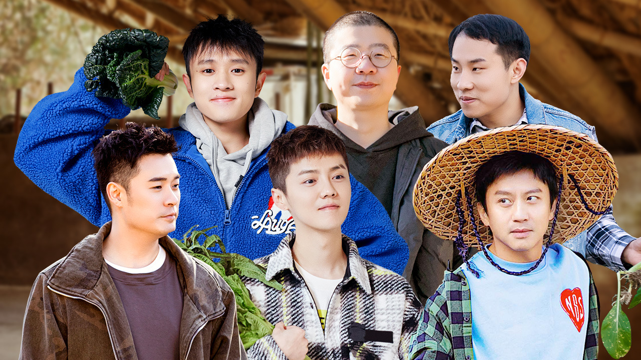 第9期加更：五哈团全员化身包菜工