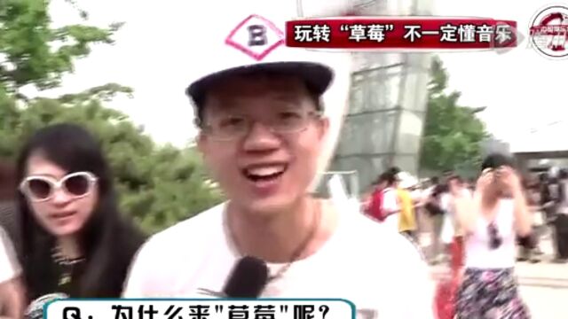 《刘同坦白讲》2014草莓音乐节 艺人素人 重在参与