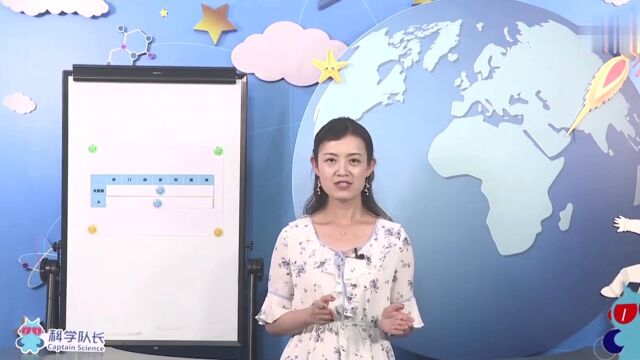 第03集 给动物分分类