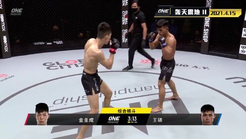 【回放】ONE冠军经典赛第22期中国力量：金圭成vs王硕