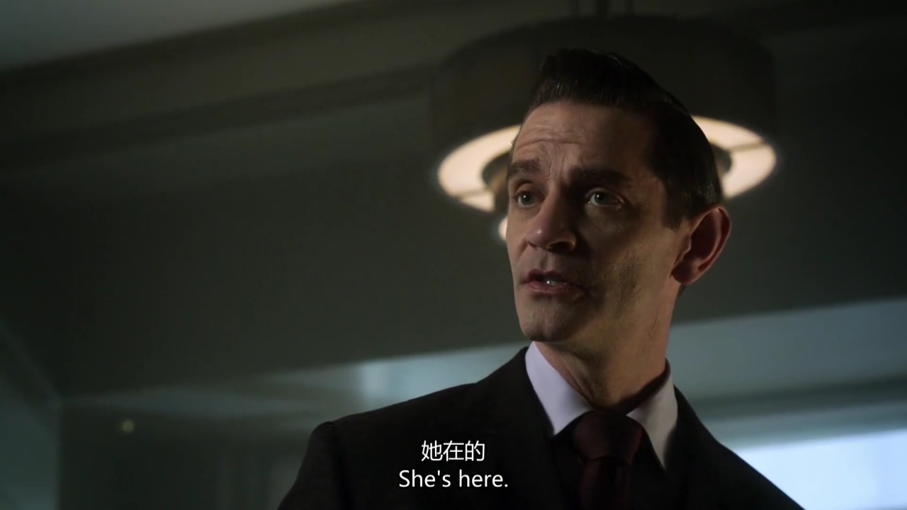 哥谭镇 第二季 7集