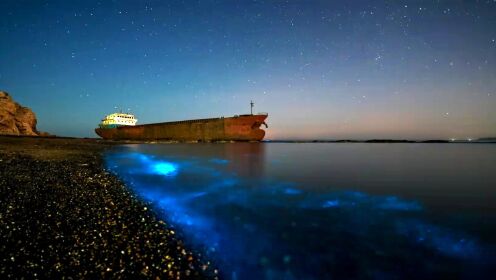 超梦幻!大连荧光海唯美似蓝色星河