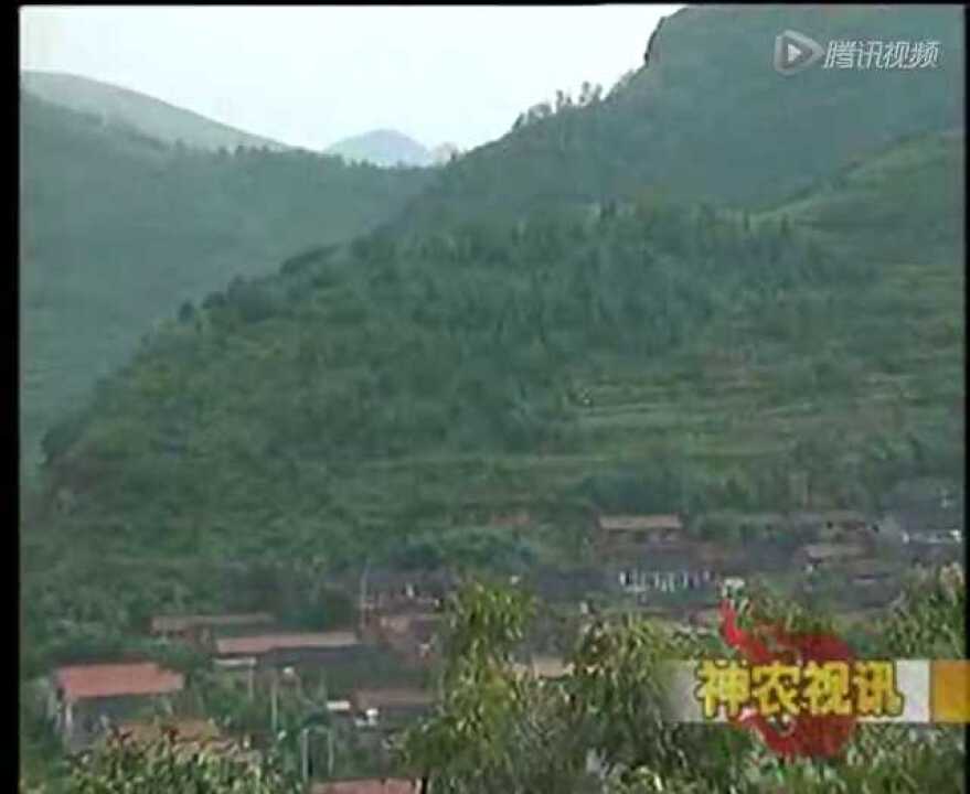 小管出流模式_高清1080P在线观看平台_腾讯视频