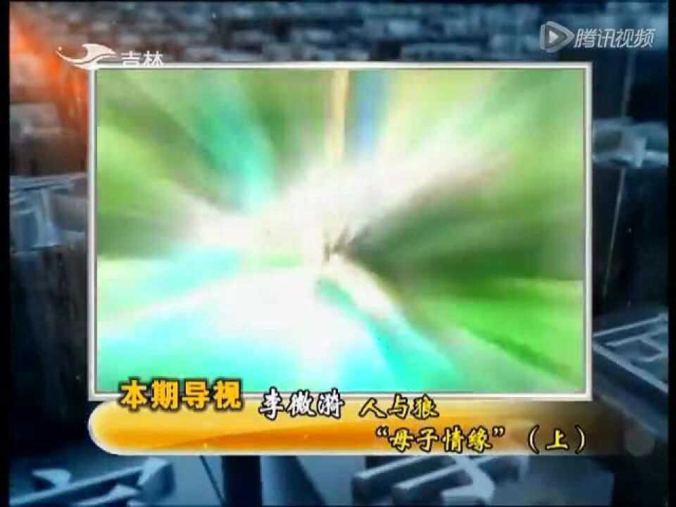 家事：李微漪人与狼“母子情缘”（上）_高清