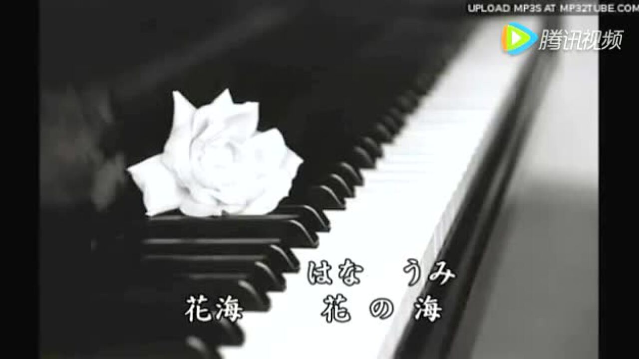 中孝介翻唱周杰伦的《花海》日语版的别有一番味道_高清1080P在线观看平台_腾讯视频