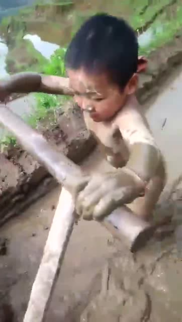 农村5岁小男孩光身子，帮父母耕地_高清