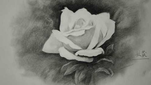 素描零基础入门教程之素描花卉玫瑰 中央美院唯风老师