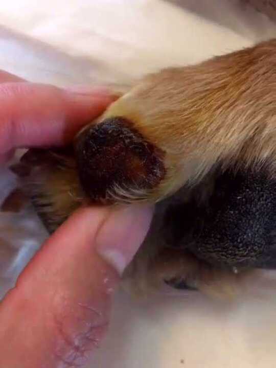 有黄鼻涕刚才用生理盐水冲洗一下滴的氯霉素滴完之后喷出来一点血嘎巴