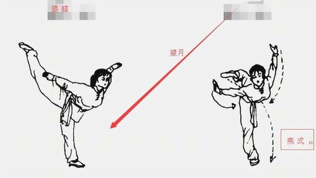 武术基本功望月燕式平衡法 腾空摆莲旋风脚_腾讯视频