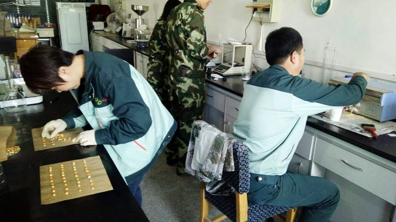 中国式勤劳吓到外国人:为什么同是工作,中国人能一直忙碌?_高清1080P在线观看平台_腾讯视频
