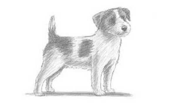 简笔画教学：2分钟教你画一只狗，很简单！_腾讯视频