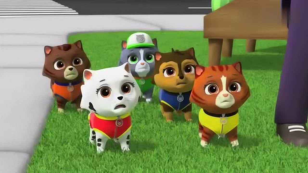 汪汪队立大功顽皮的飞天猫不想回家它根本不知道老鹰有多危险