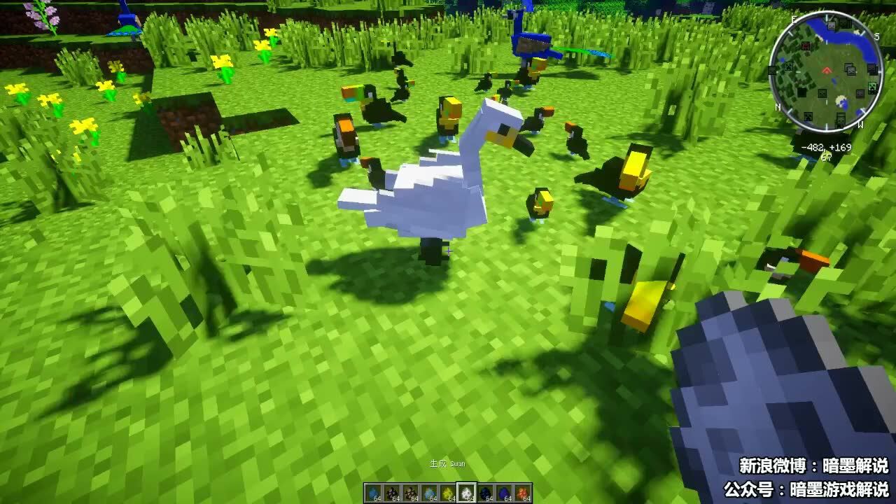 我的世界模组推荐1710珍奇鸟类mod暗墨解说