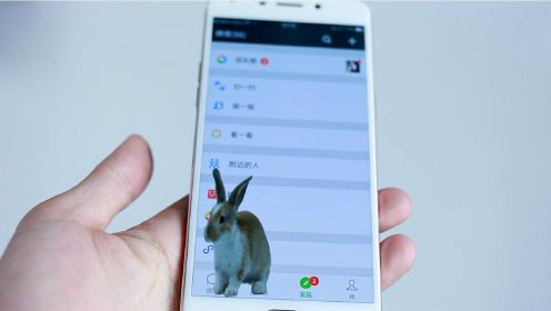 在微信里面养一只宠物兔子，非常有趣！
