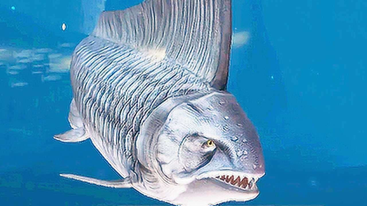 侏罗纪世界499纳博格米努斯鱼,战斗继续,vip传奇龙 小鸢解说_腾讯视频