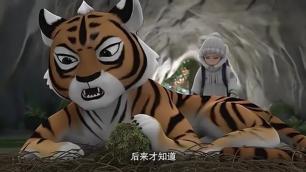 如何理解动物与人类的关系_腾讯视频