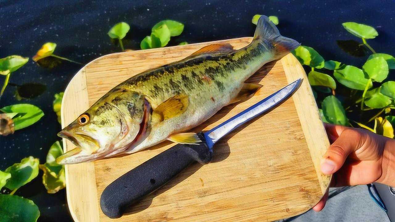 溪流中钓了一条大口黑鲈，看他怎么烹饪！网友：看了不淡定了