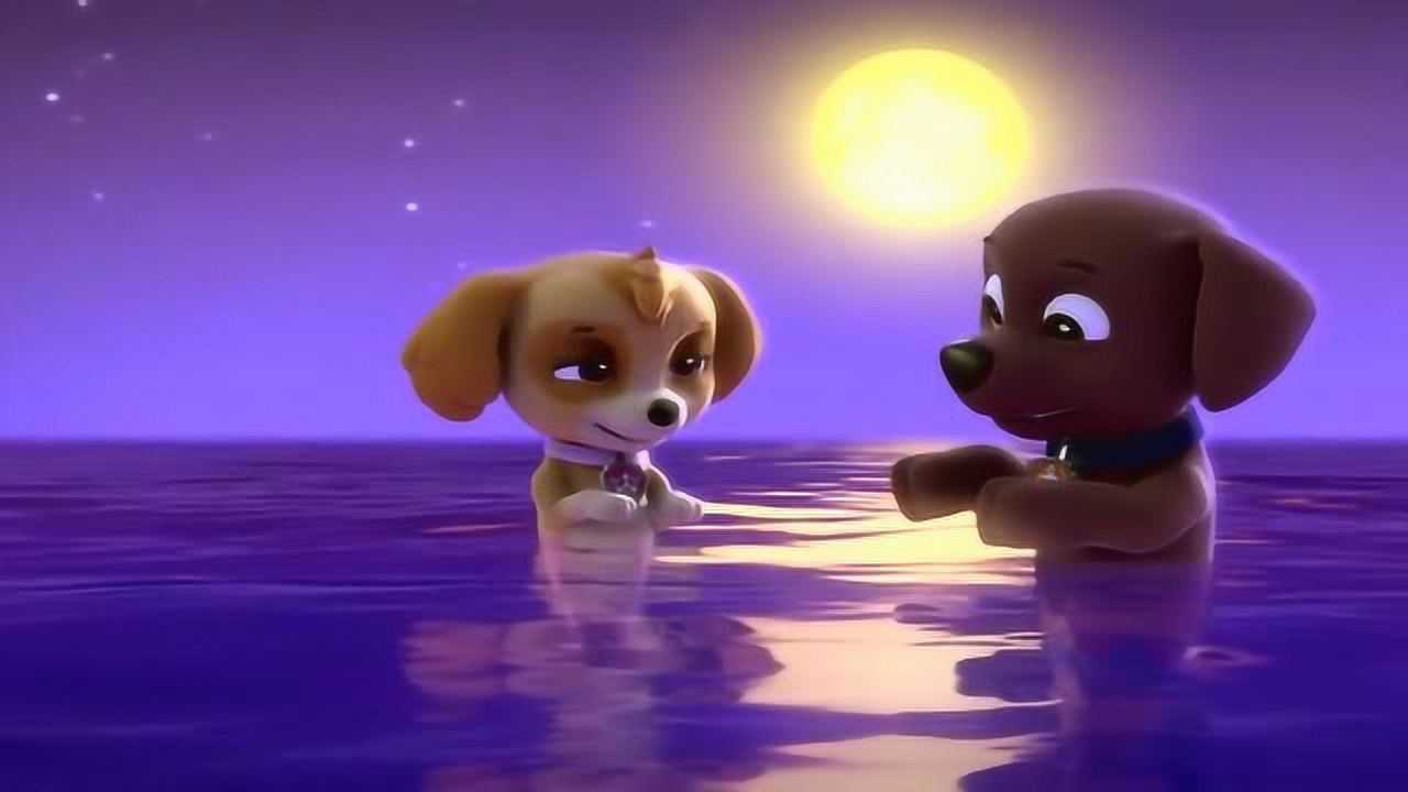 汪汪队天天与陆马在海中听到了人鱼狗的声音接着就看到了人鱼狗