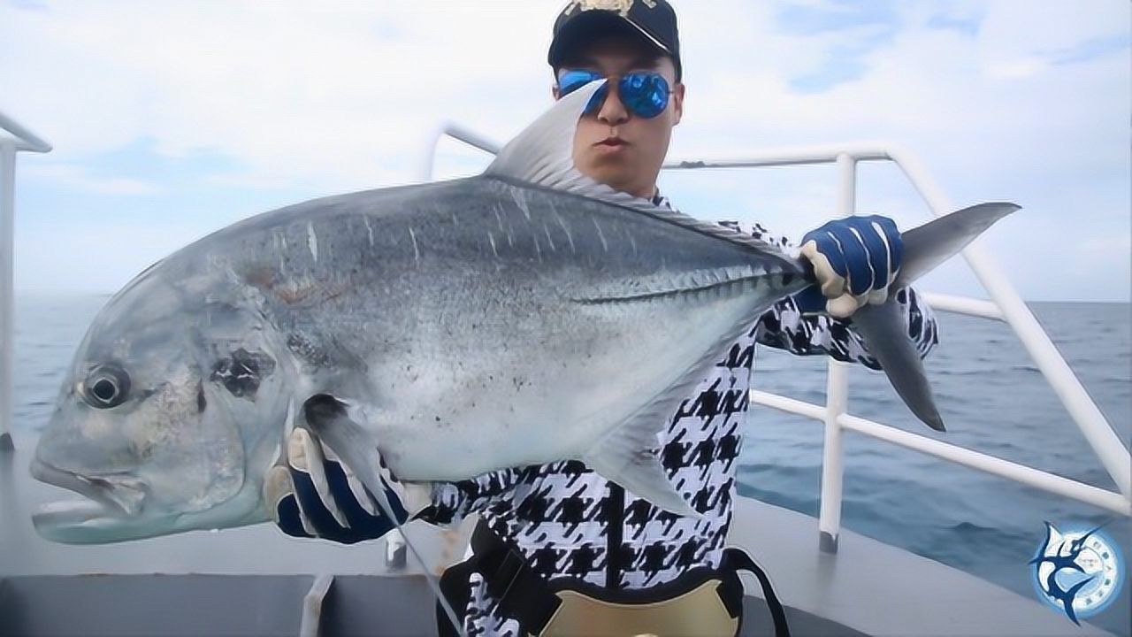 为何钓鱼人都喜欢海钓gt?因为gt口猛有劲手感好最后就是鱼傻