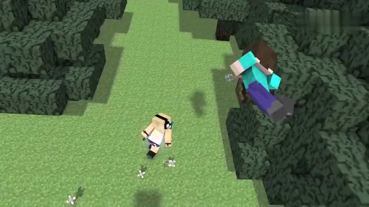 女孩的心思我的世界音乐动画