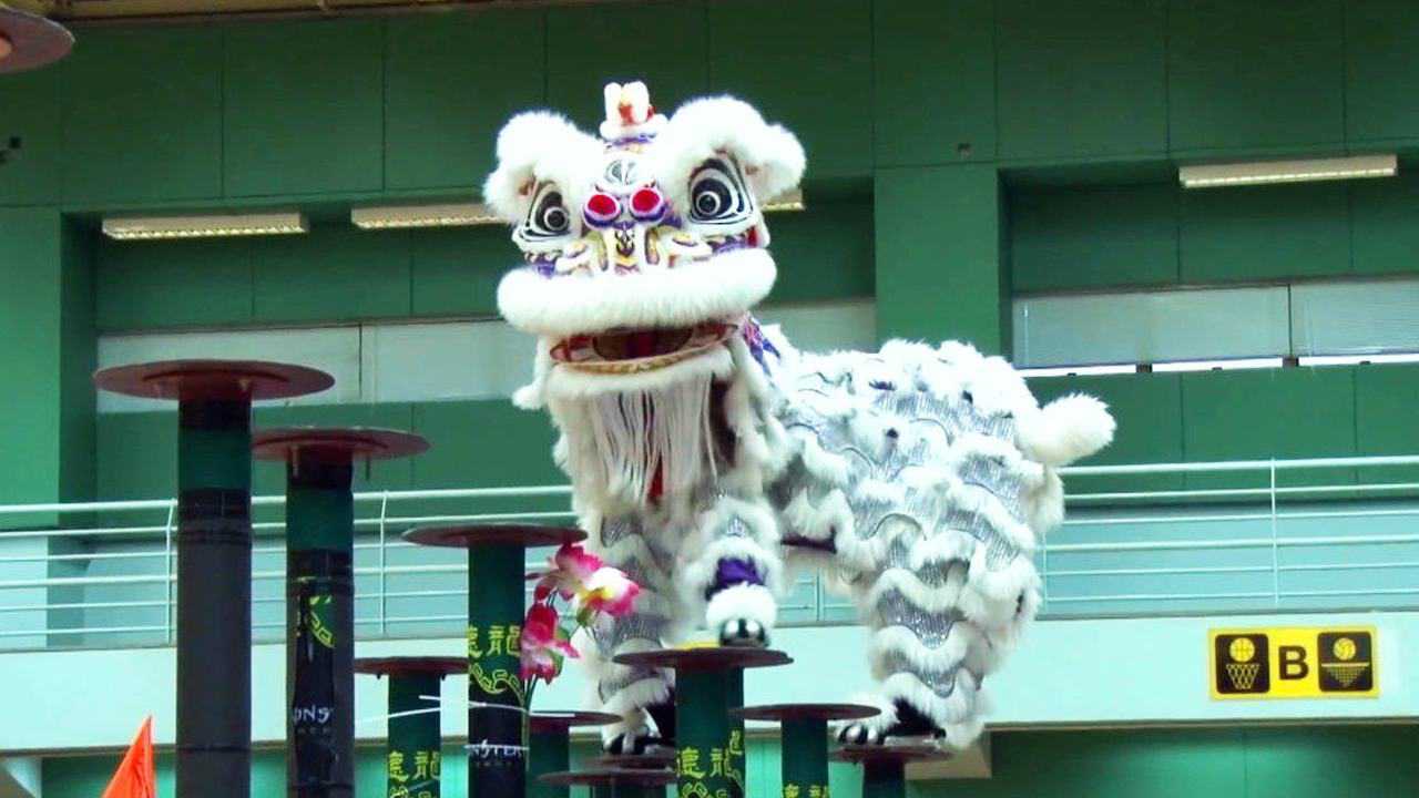 中国传统舞狮艺术,专业舞狮比赛视频欣赏_腾讯视频