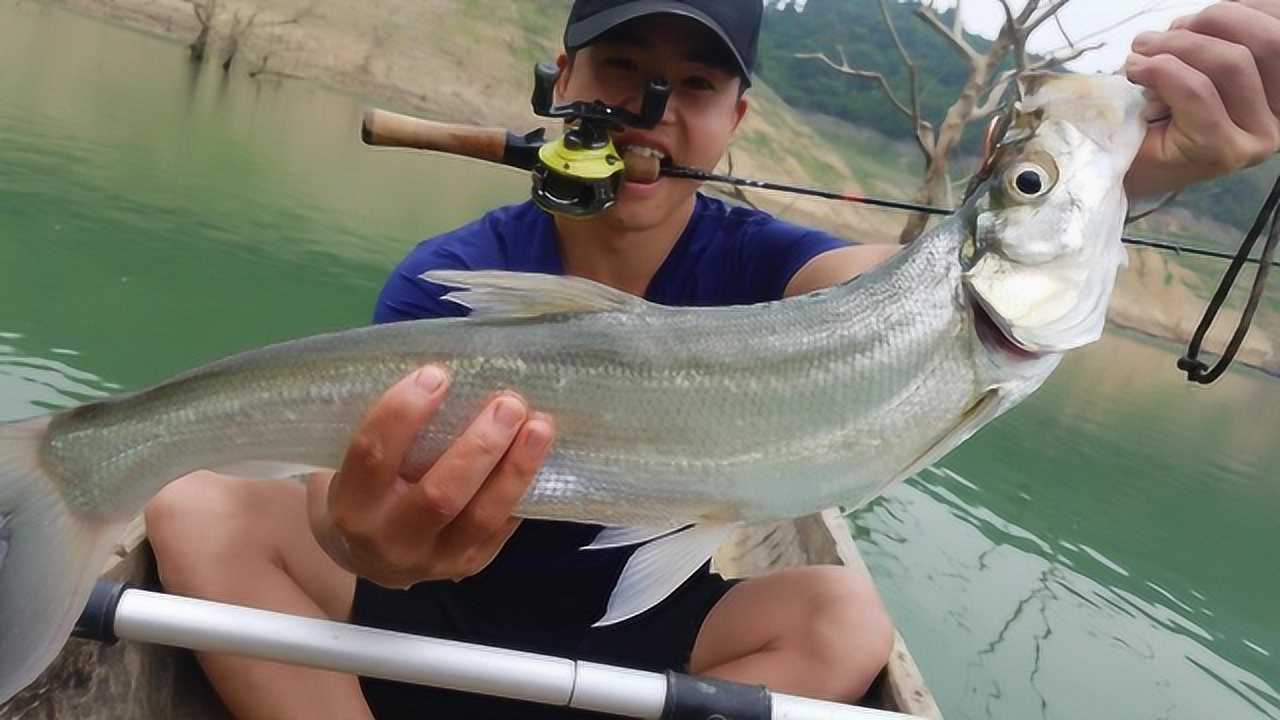 路亚钓鱼,红水河钓翘嘴合集,干净利落都是干货