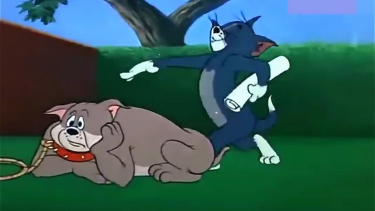 猫和老鼠，老鼠摇响铃铛大狗就来救它，但是拴狗令开始了_高清1080P在线观看平台_腾讯视频