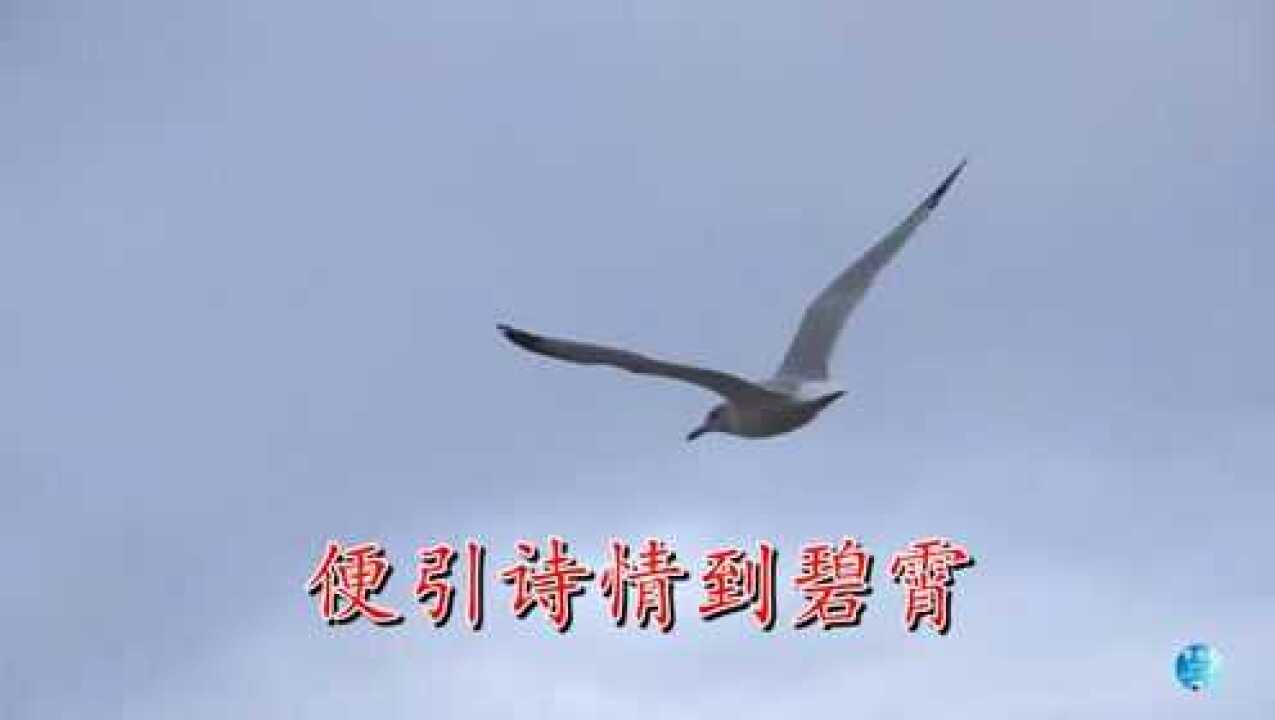 《秋词》刘禹锡 视频朗诵_腾讯视频