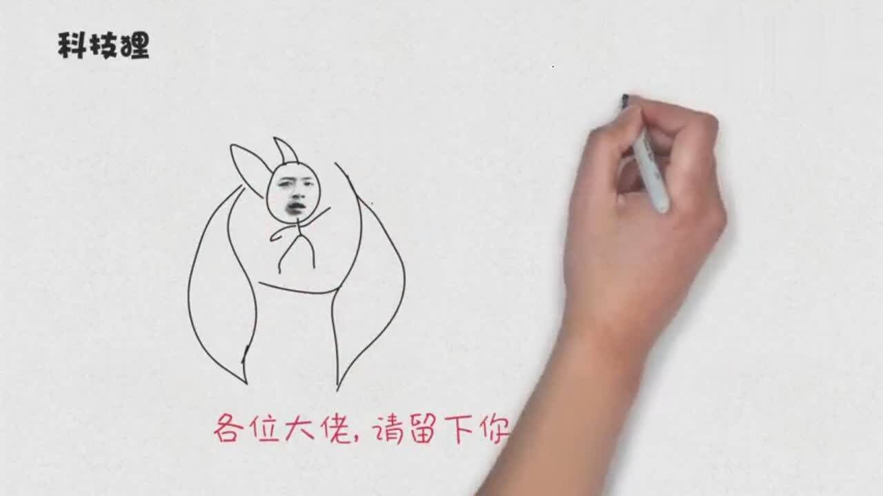 王者荣耀简笔画，猜猜这俩是谁_高清1080P在线观看平台_腾讯视频
