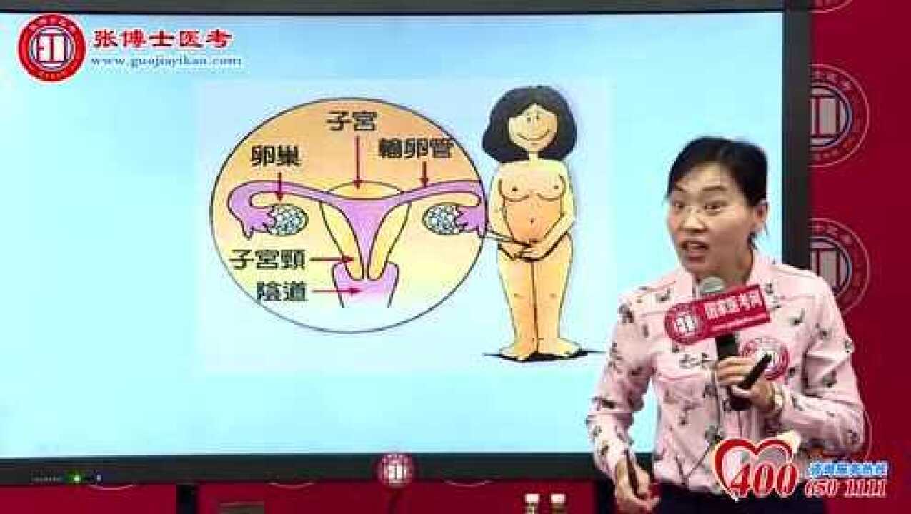 女性生殖系统_腾讯视频
