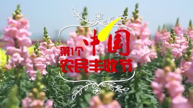 首届中国杭州丰收节