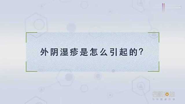 专家解答,外阴湿疹究竟是怎么引起的?