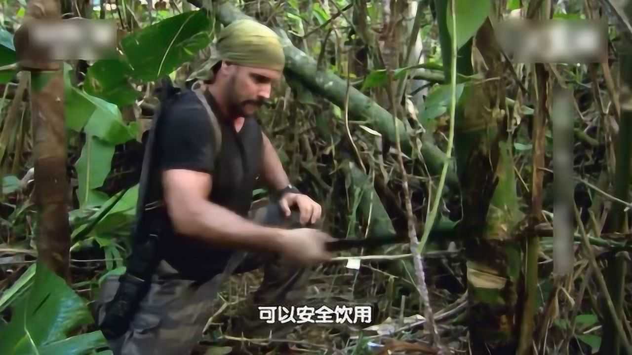 乔柯兄弟被困潮湿雨林,砍断老竹子,竟流出汩汩清水_高清1080P在线观看平台_腾讯视频
