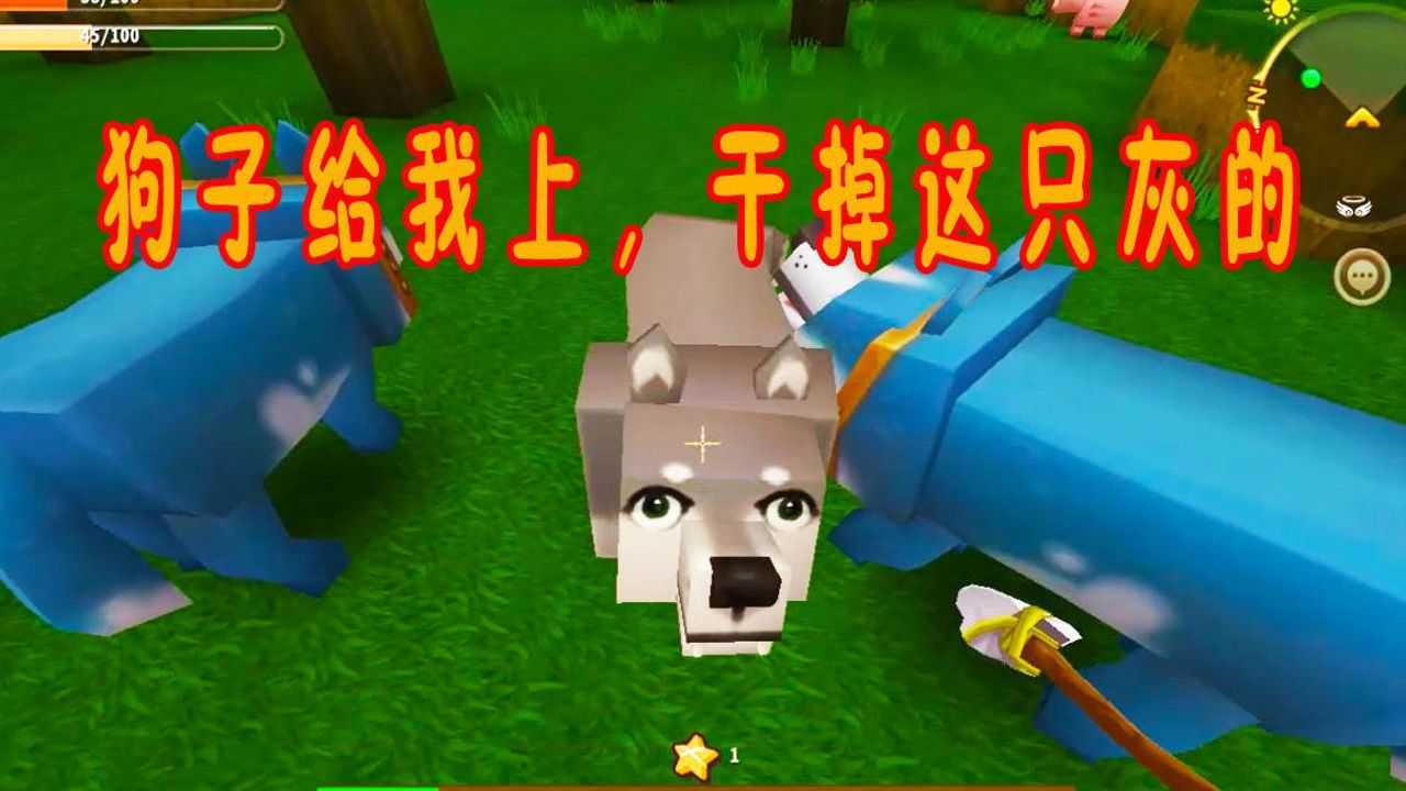 迷你世界第2期带着驯服好的两只狗子去干其他狗子