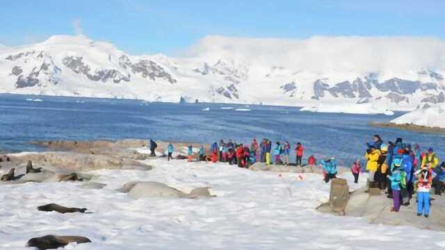 中国游客渐成南极旅游主力,外国导游:中国游客素质让人称赞!