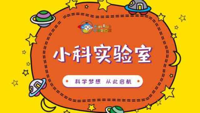 Kidslab小科实验室 领先的儿童科学素养教育品牌 企业宣传片