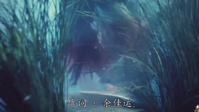 余佳运献唱的一首《情话》听完泪如雨下