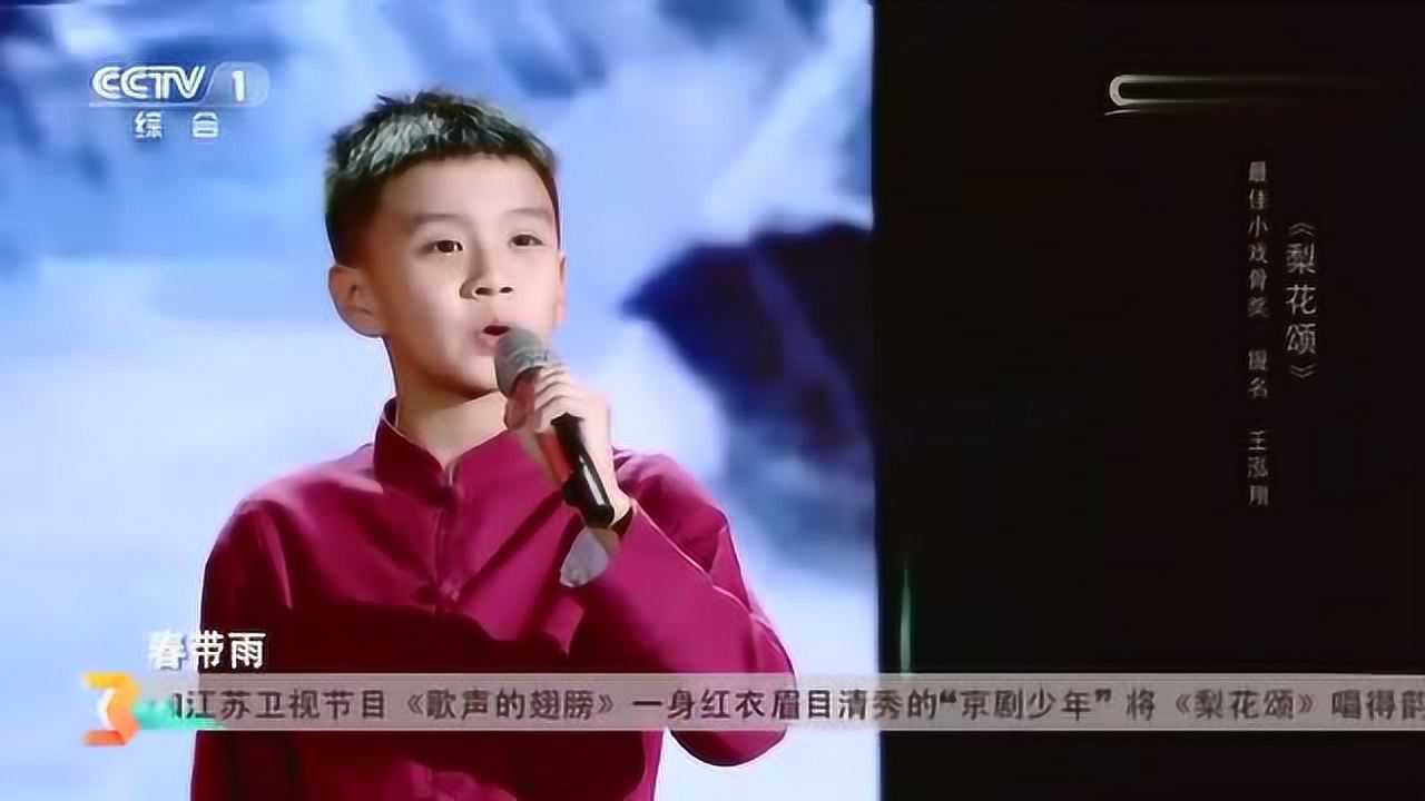 10岁男孩王泓翔唱京歌梨花颂唱得太好