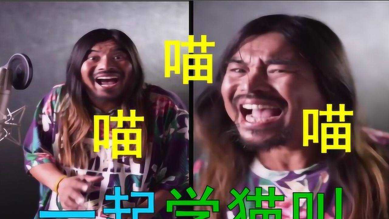 面筋哥学猫叫听完后尴尬又快乐