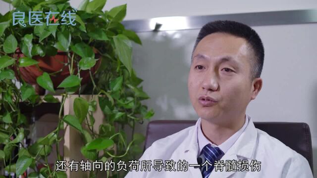 什么是脊髓损伤