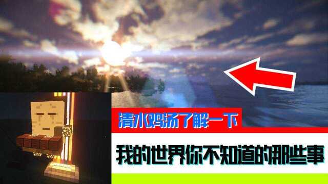 我的世界:你不知道的5件事,小鸡版害怕表情包了解一下!