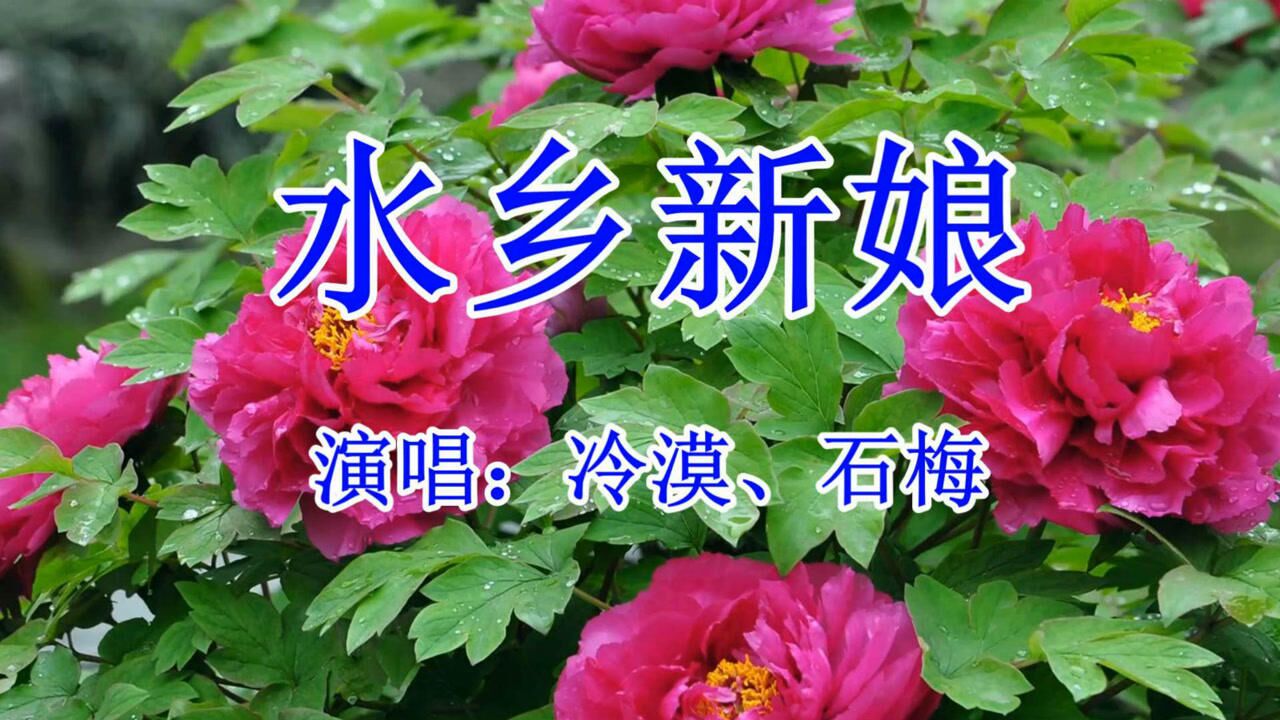 冷漠石梅水乡新娘网络情歌