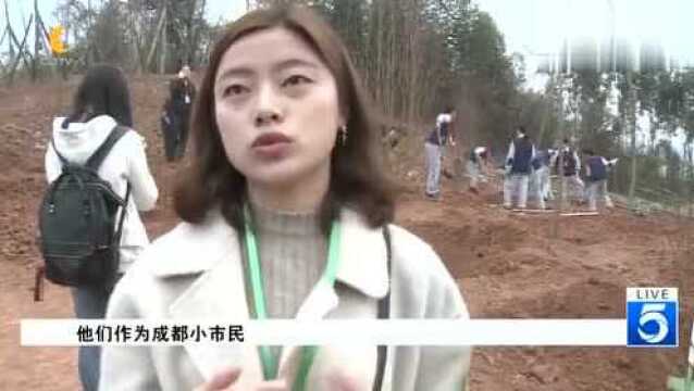 成都:行植树义务建美丽中国